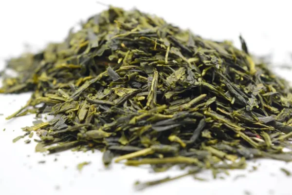 Psilocybin Mushroom Sencha Fujiama Green Tea - Image 4