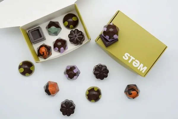 STEM Premium Vegan X Drip Assorted Mushroom Chocolate Box - Image 6