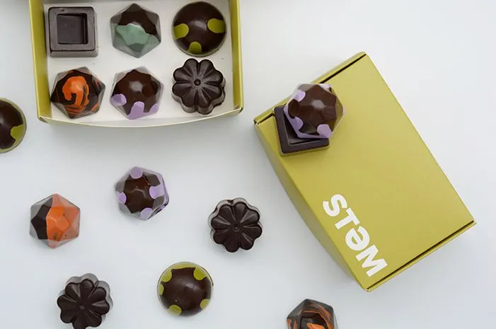 vegan-x-drip-assorted-chocolate-box-3
